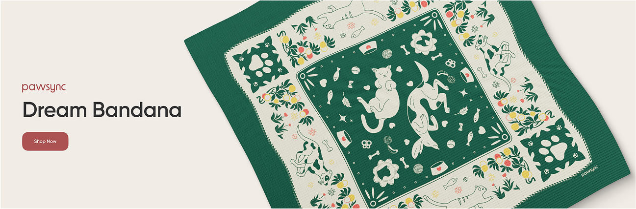 Dream Bandana product showcase.